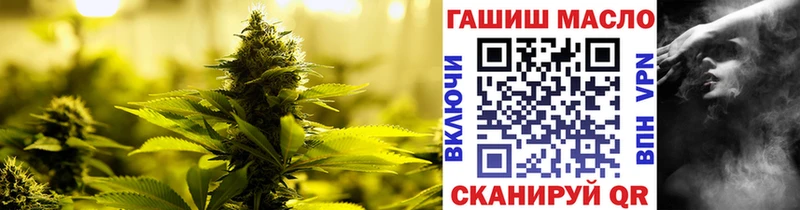 Купить  Лаишево  ТГК концентрат 