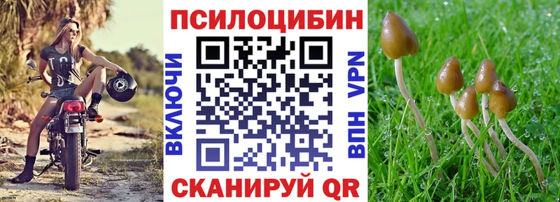Галлюциногенные грибы Psilocybine cubensis  Купить  Лаишево 